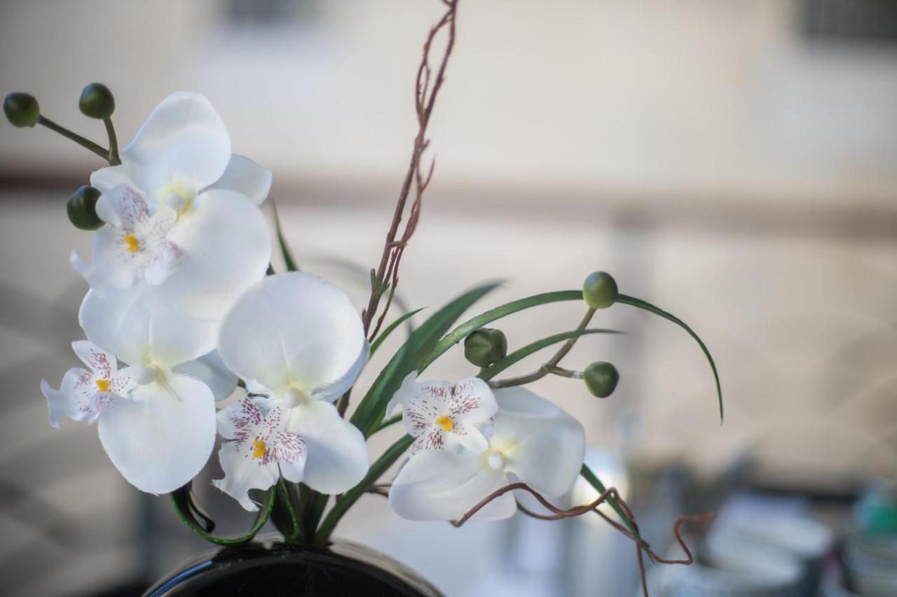Palais Liberte Apartment Ница Екстериор снимка